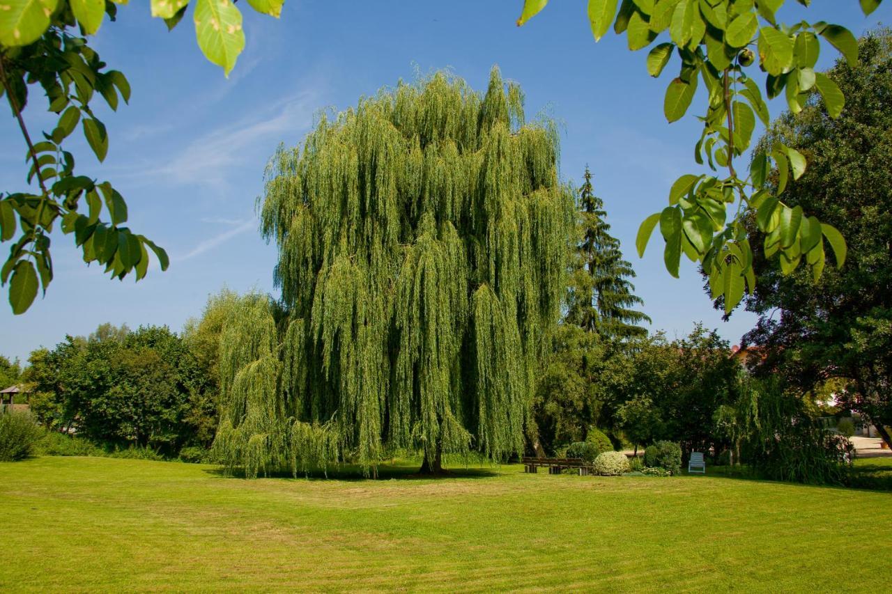 Schoenenberger Hof Orsingen-Nenzingen 外观 照片